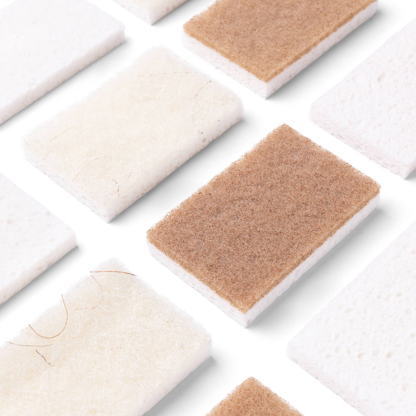 In A Nutshell Scrubber Sponge (6pk)