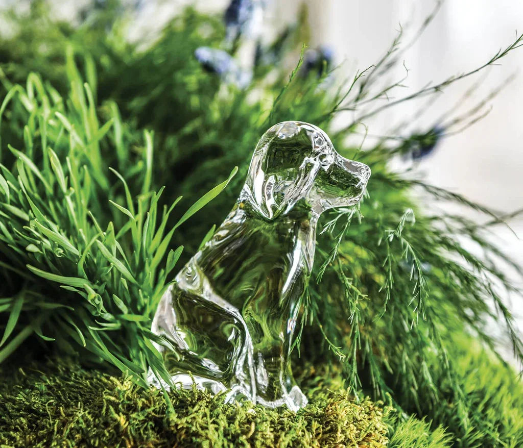 Simon Pearce Dog - Marcel’s Culinary Experience