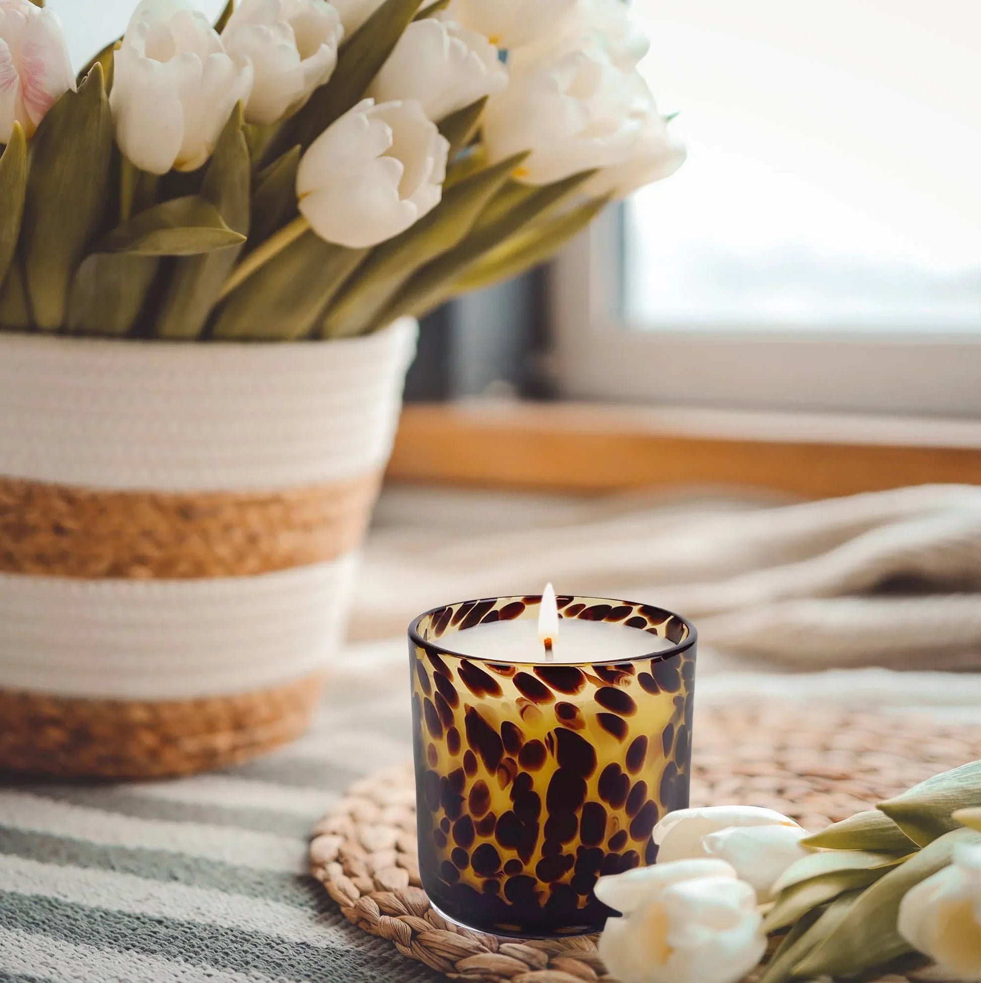 Fig & Aged Oak Amber Tortoise Soy Blend Candle - Marcel’s Culinary Experience