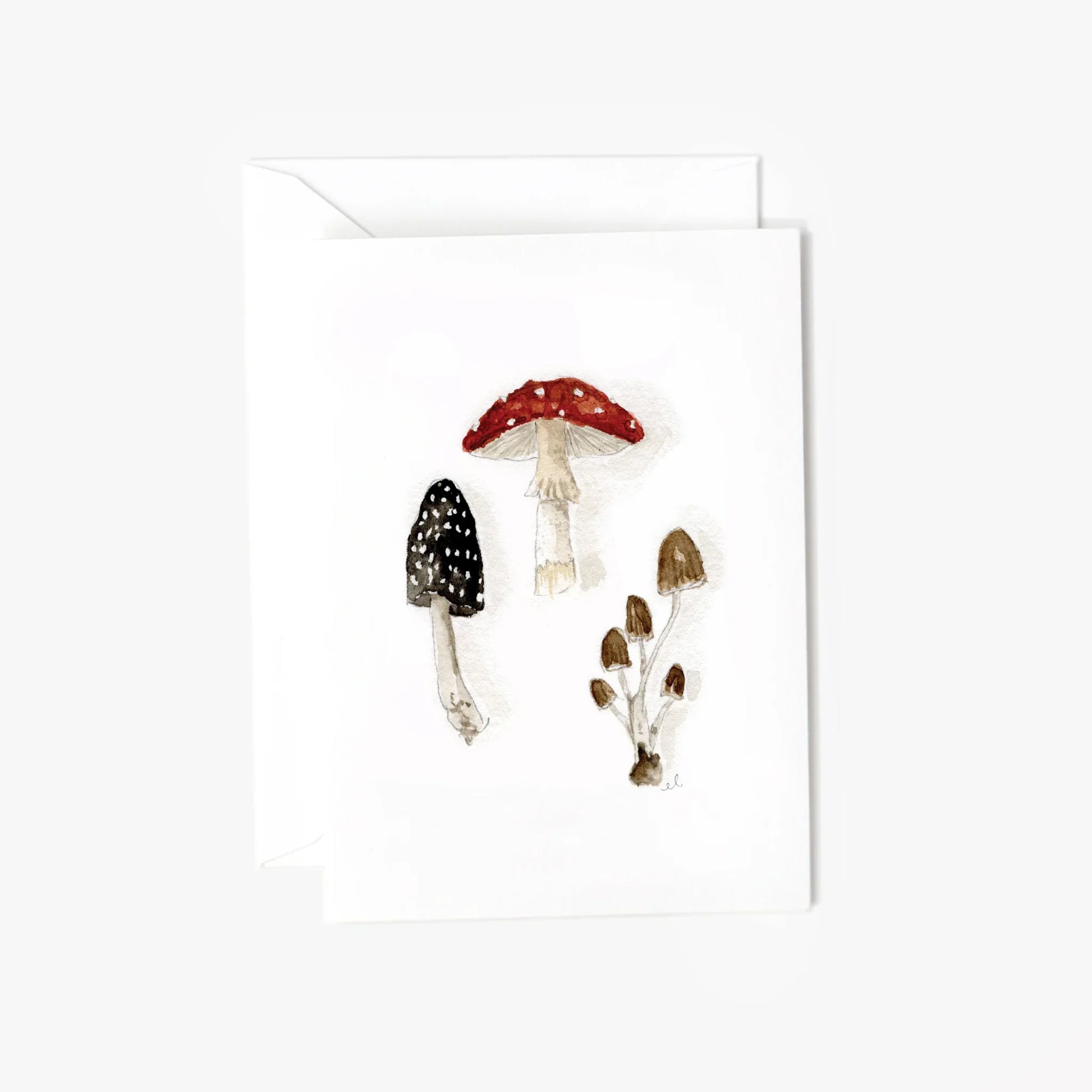 Mushrooms mini notecard - Marcel’s Culinary Experience