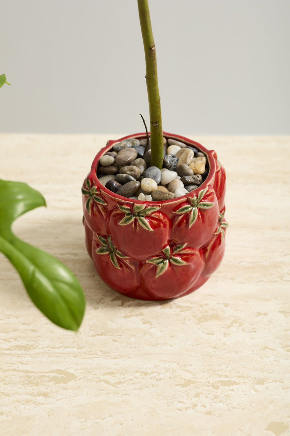 Cucina Pot