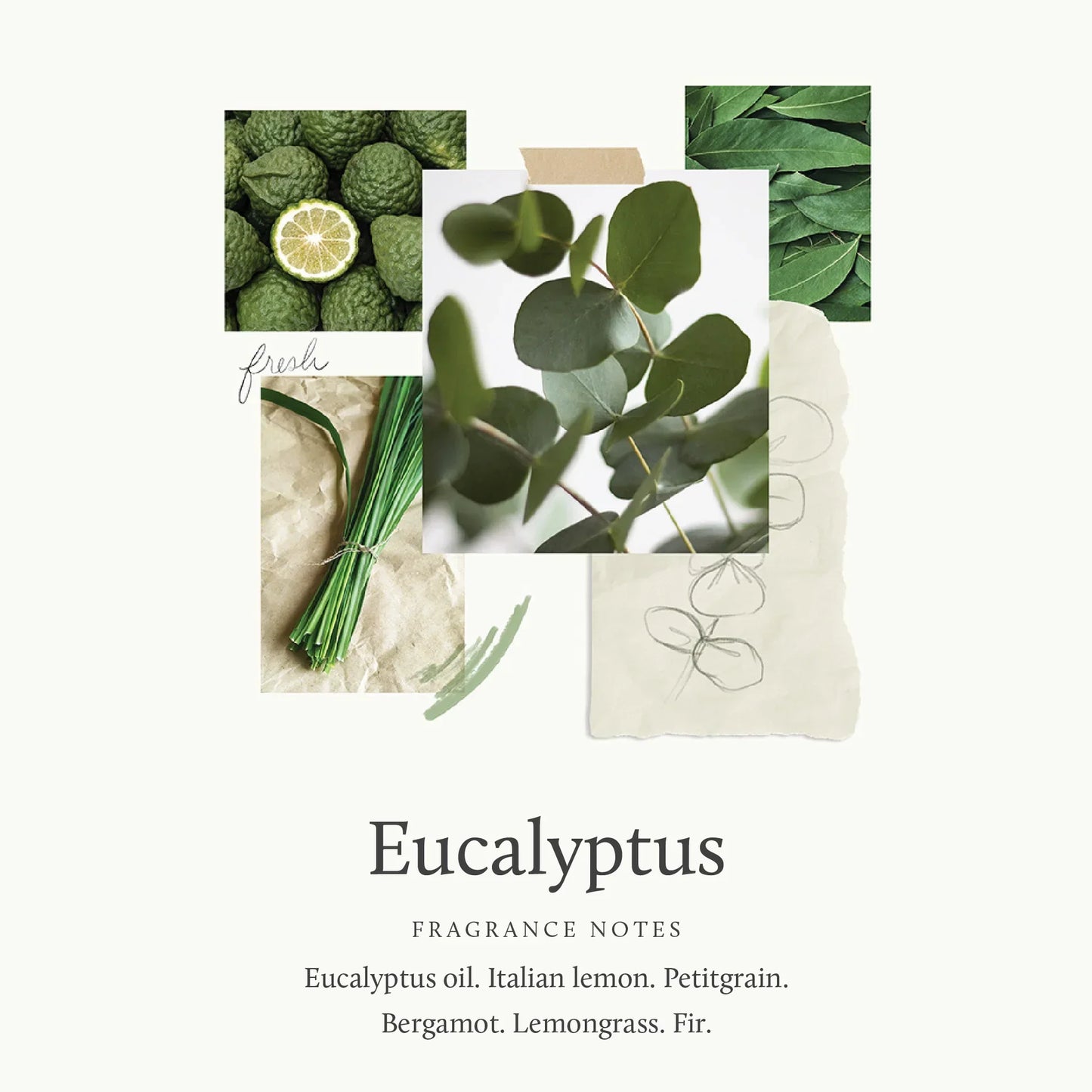 Thymes Eucalyptus Replenishing Hand Lotion