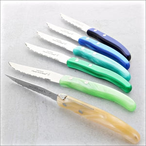 Claude Dozorme Panaché Bleu-Vert Steak Knife Set