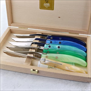 Claude Dozorme Panaché Bleu-Vert Steak Knife Set