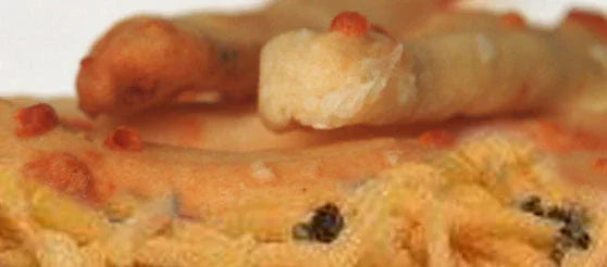 Coleen's Colby Cracked Pepper Breadsticks - Marcel’s Culinary Experience