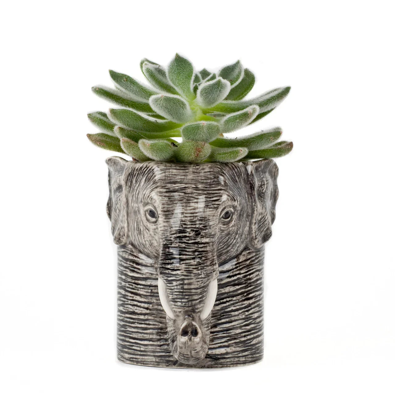 Quail Ceramics Elephant Pencil Pot - Marcel’s Culinary Experience