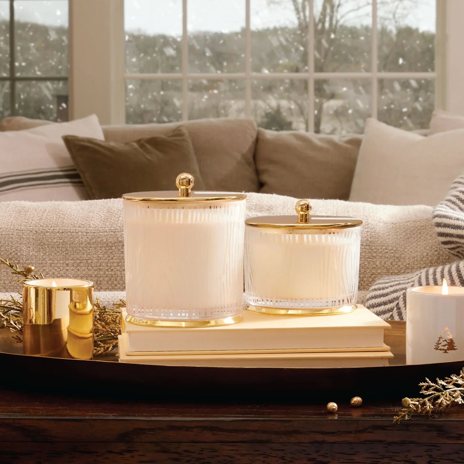 Thymes Frasier Fir Candle - Thumbnail 5