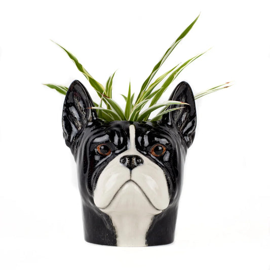 French Bulldog Pen Pot - Marcel’s Culinary Experience