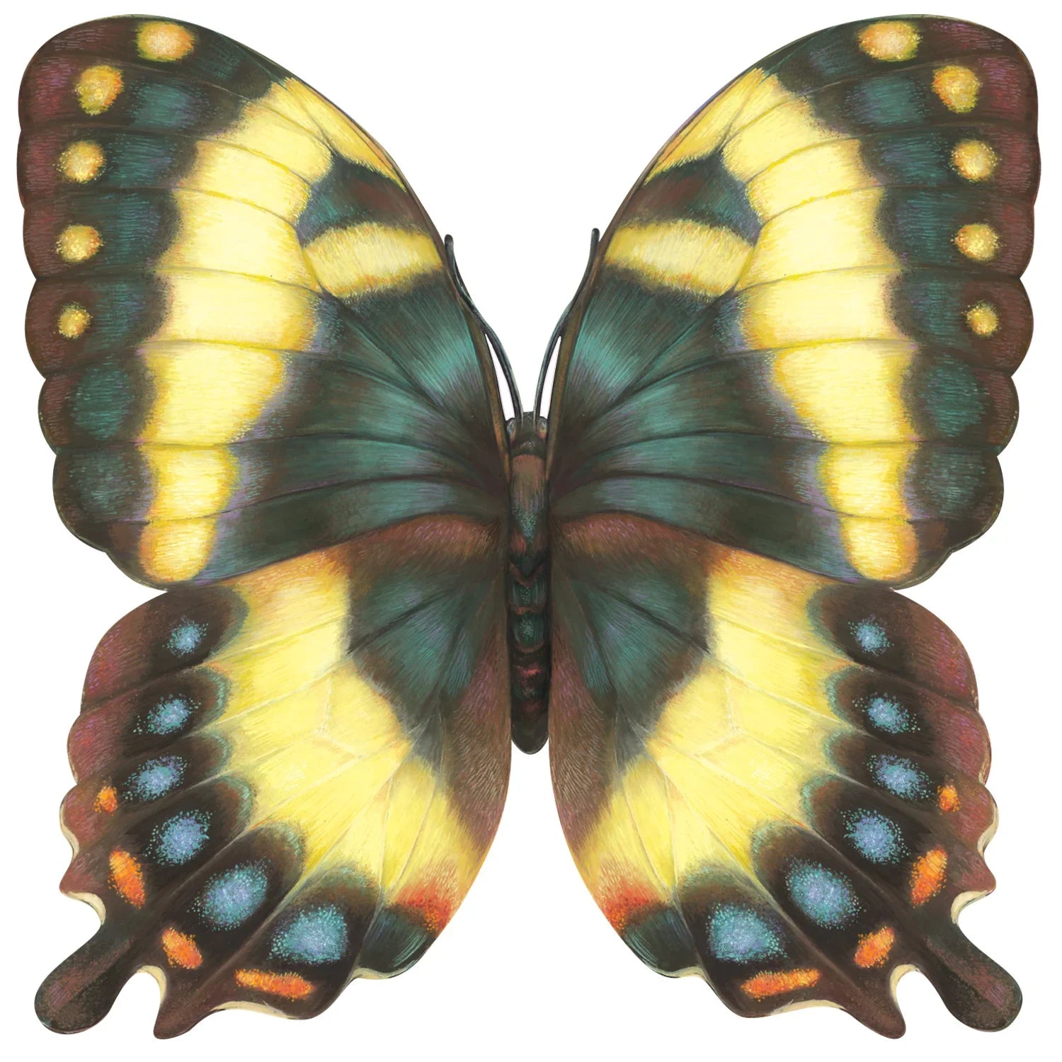 Hester & Cook Die-cut Butterfly Placemat - Marcel’s Culinary Experience