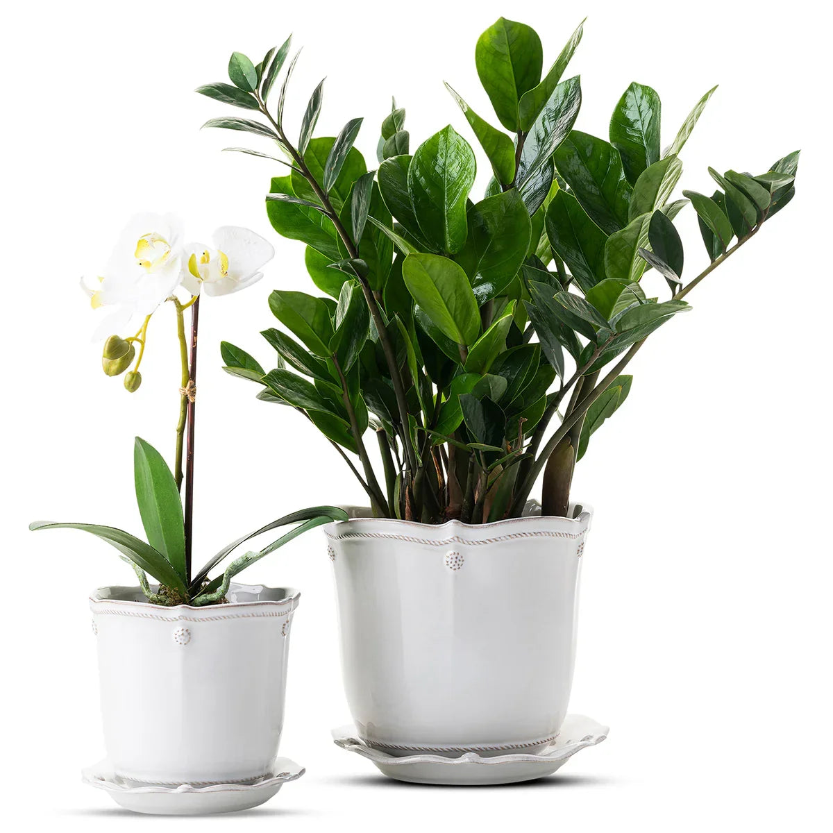 Juliska Berry & Thread 5" Planter - Whitewash
