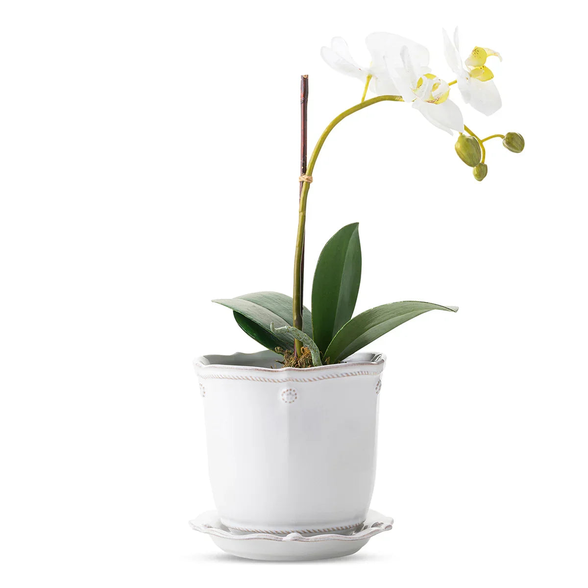Juliska Berry & Thread 5" Planter - Whitewash