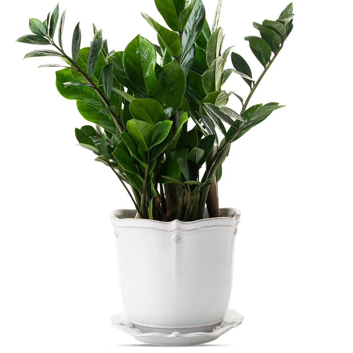Juliska Berry & Thread 7" Planter - Whitewash