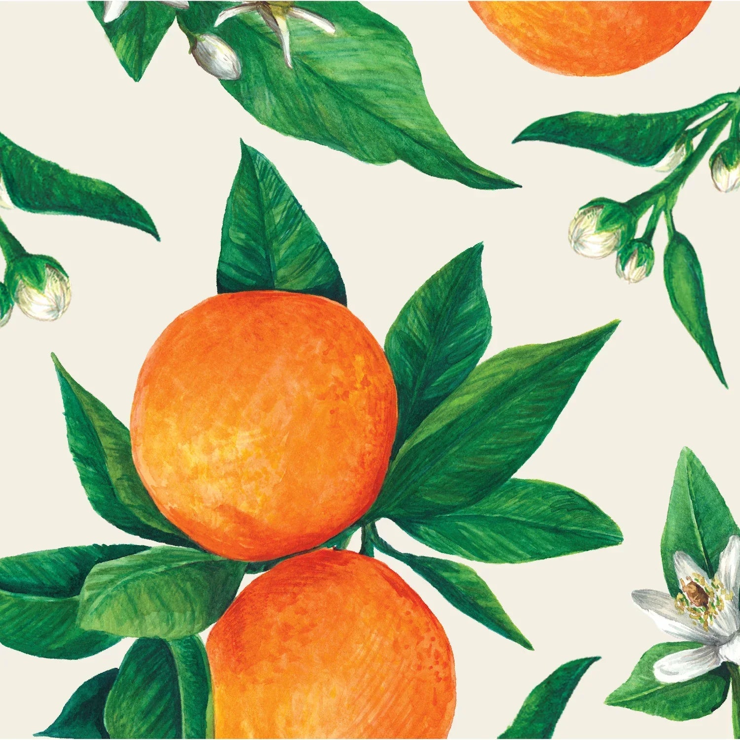 Hester & Cook Orange Orchard Cocktail Napkins - Marcel’s Culinary Experience