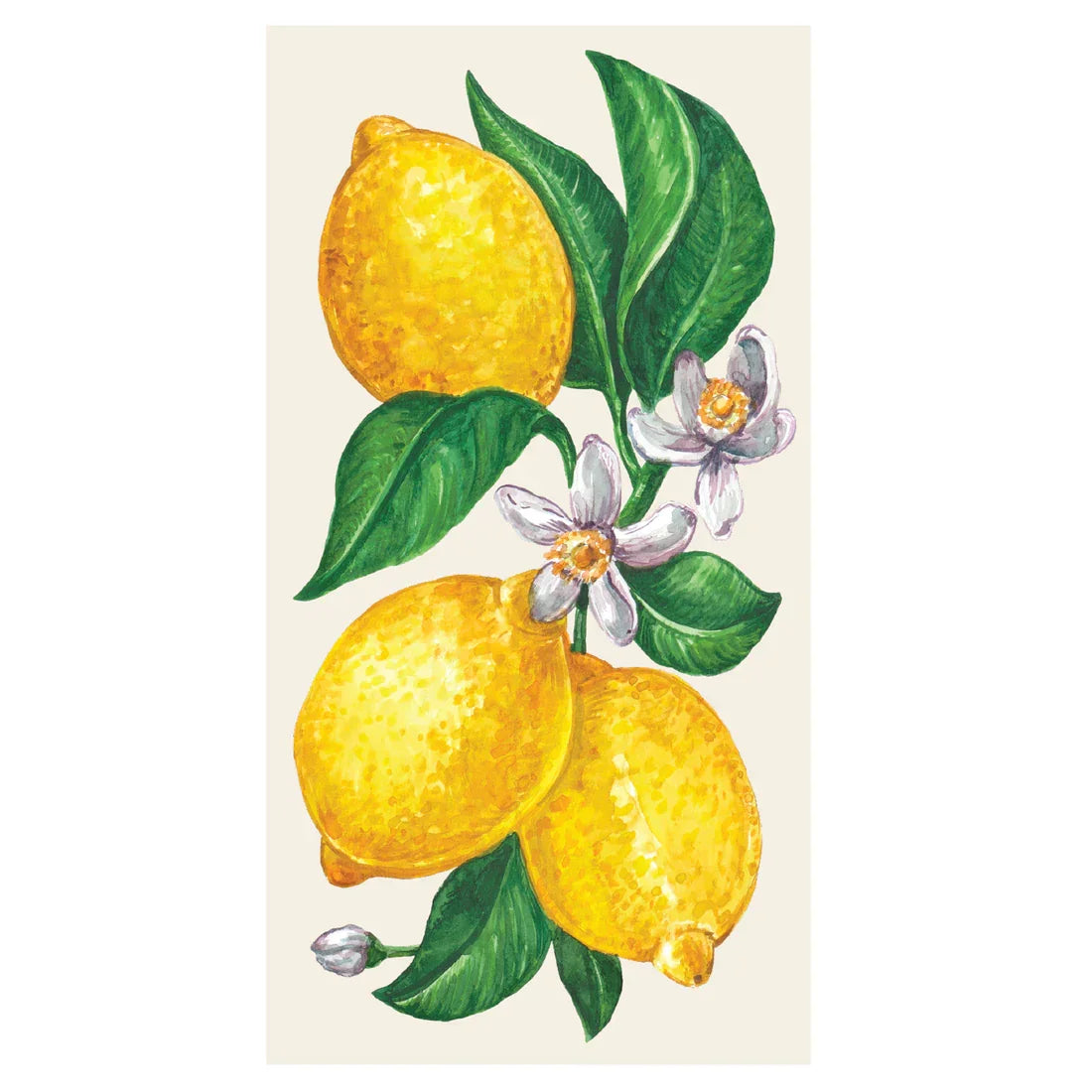 Hester & Cook Lemons Guest Napkin - Marcel’s Culinary Experience