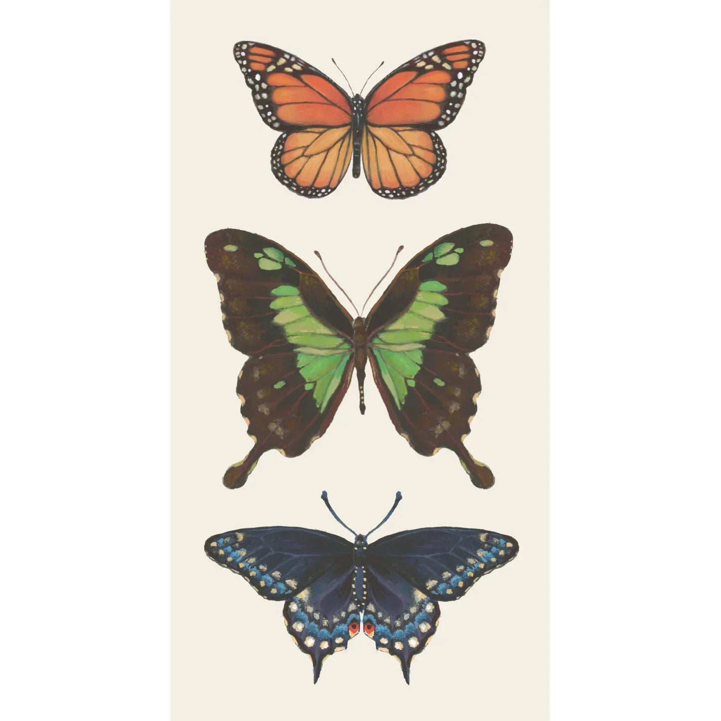 Hester & Cook Butterfly Guest Napkins - Marcel’s Culinary Experience