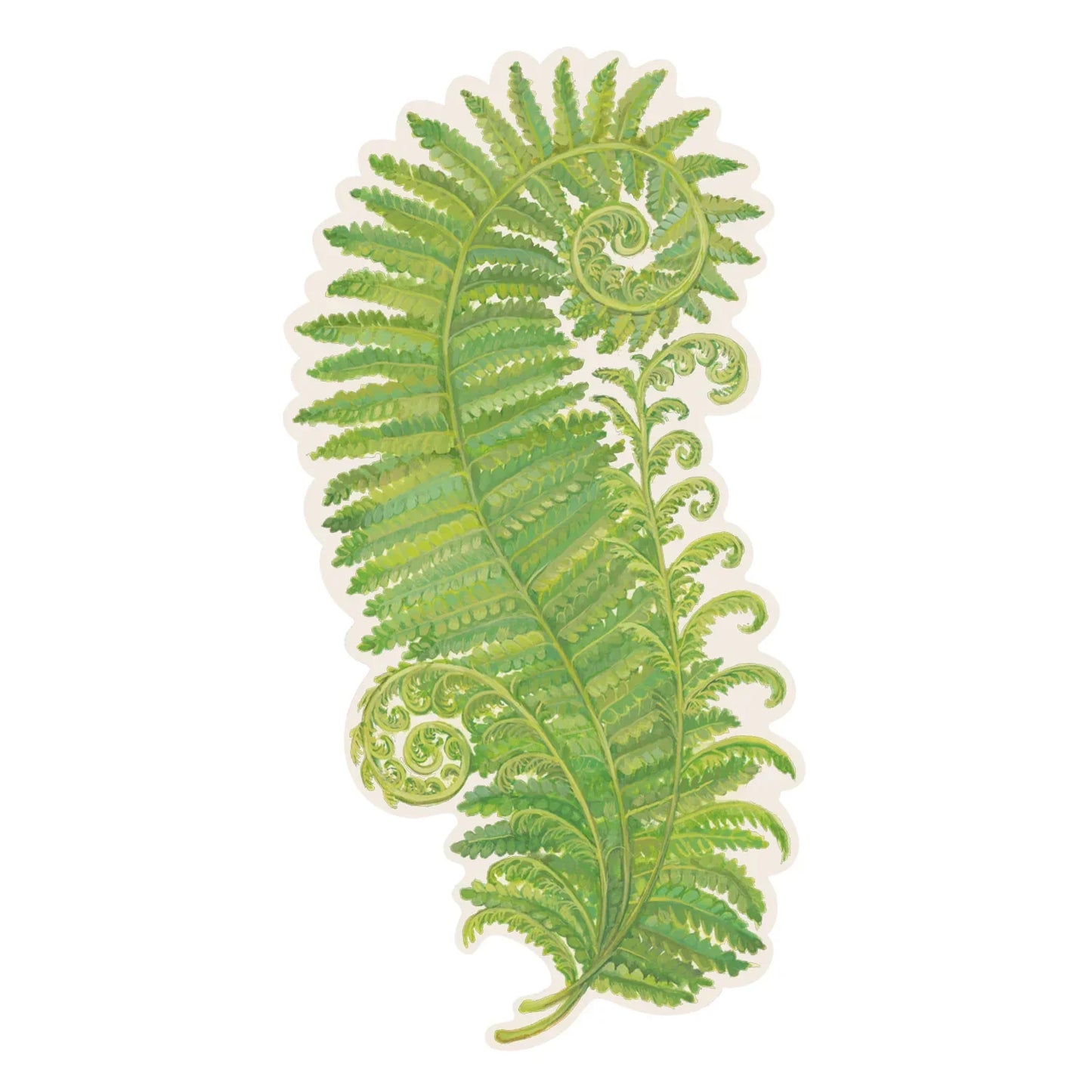 Hester & Cook Die Cut Fern Placemat - Marcel’s Culinary Experience