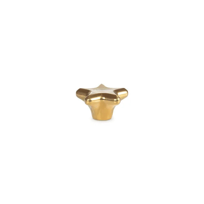 Le Creuset Star Knob