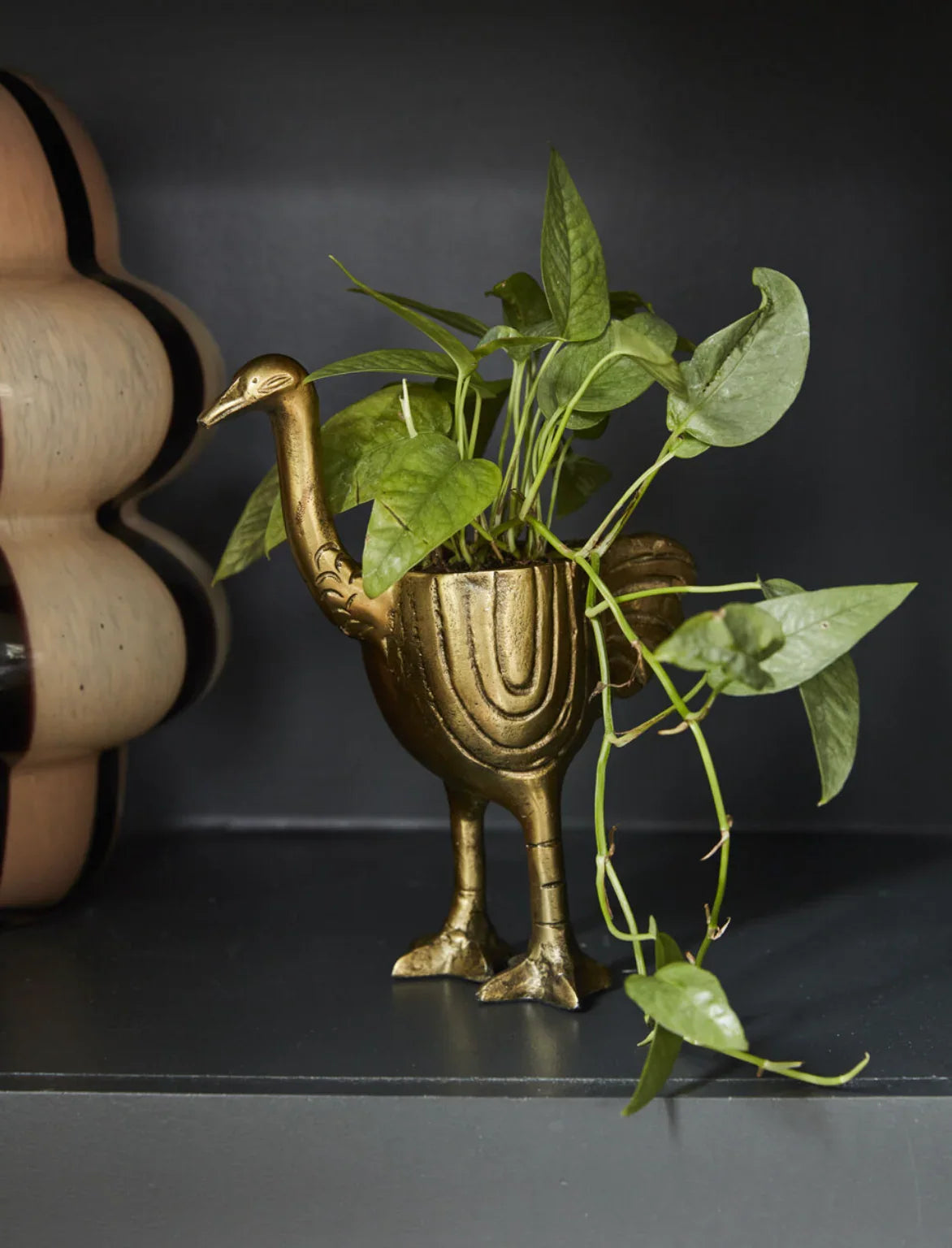 Ostrich Pot - Marcel’s Culinary Experience