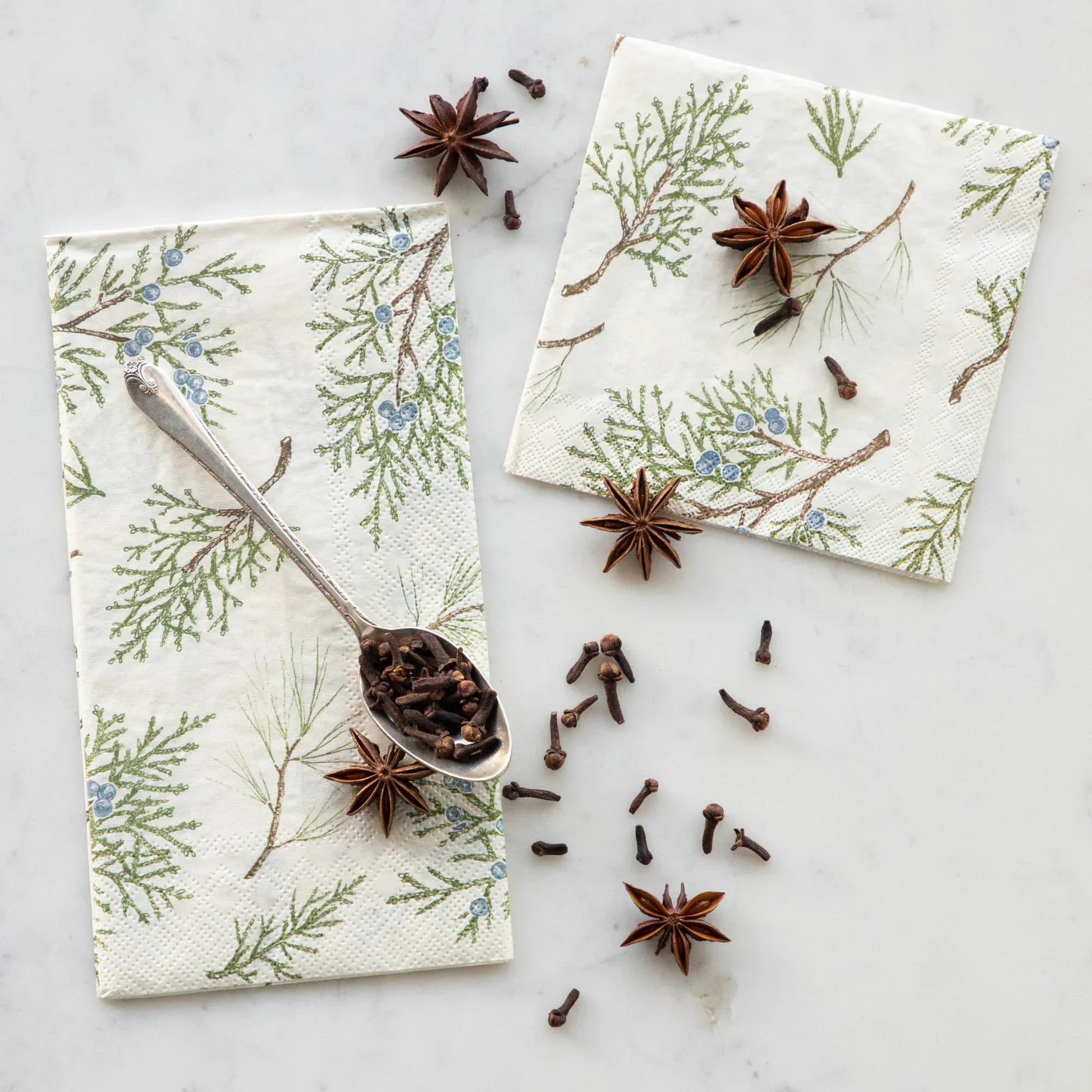 Hester & Cook Juniper Sprigs Cocktail Napkins - Marcel’s Culinary Experience