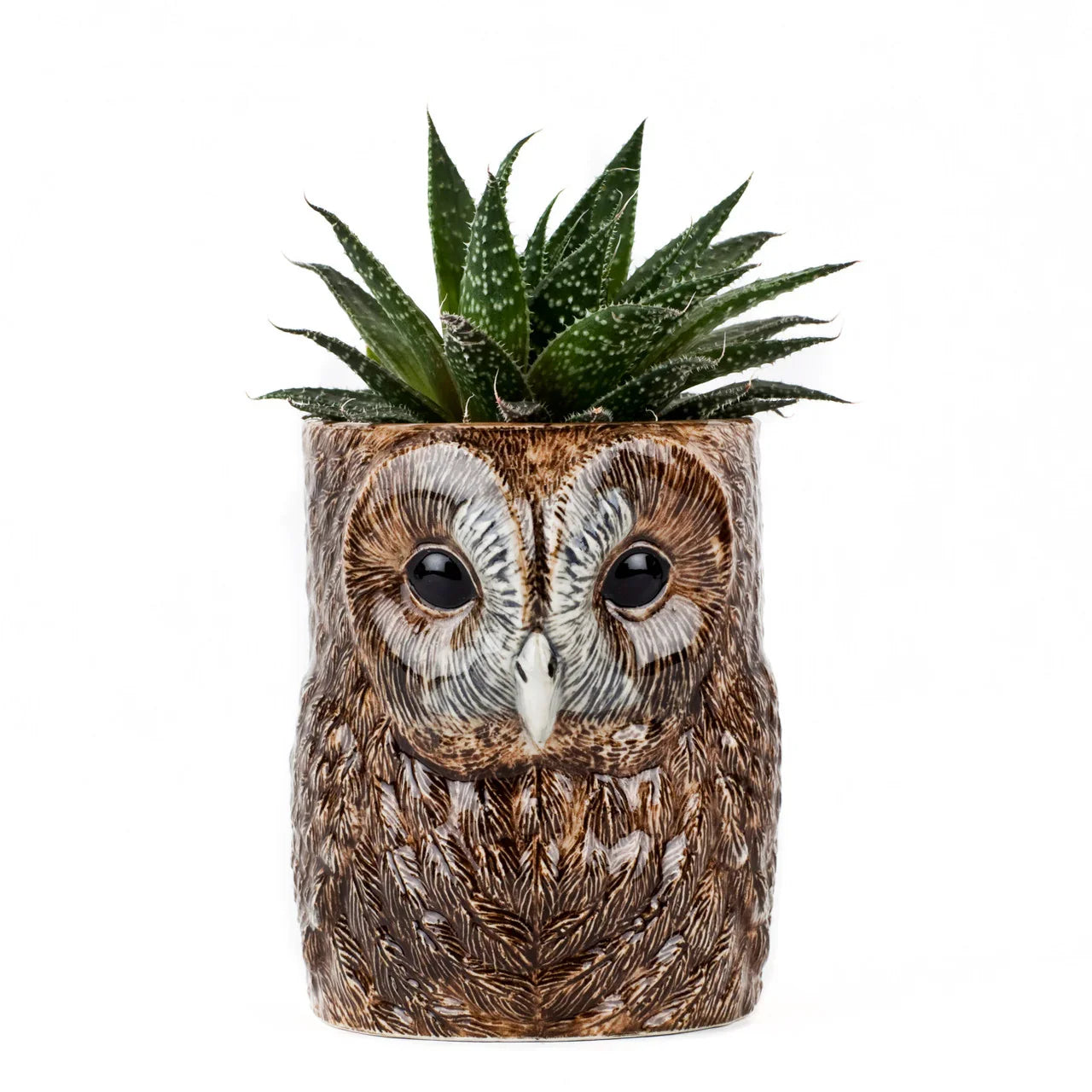 Quail Ceramics Tawny Owl Pencil Pot - Marcel’s Culinary Experience