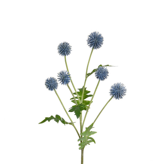 Echinops Spray Blue 25 Inch