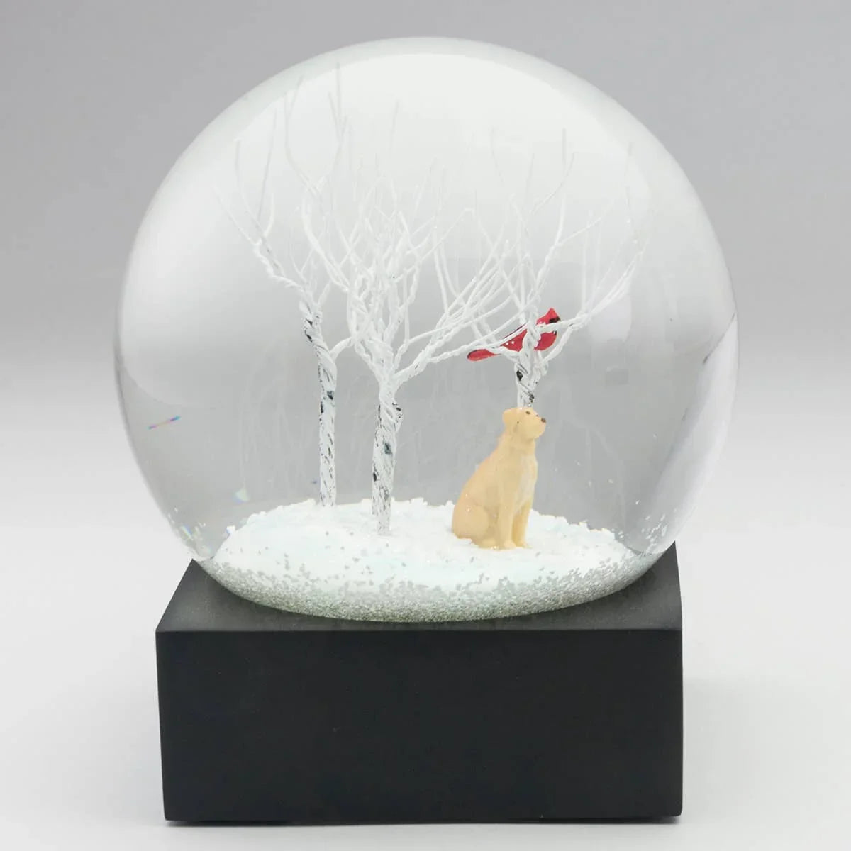 Lab in the Woods Snow Globe - Marcel’s Culinary Experience