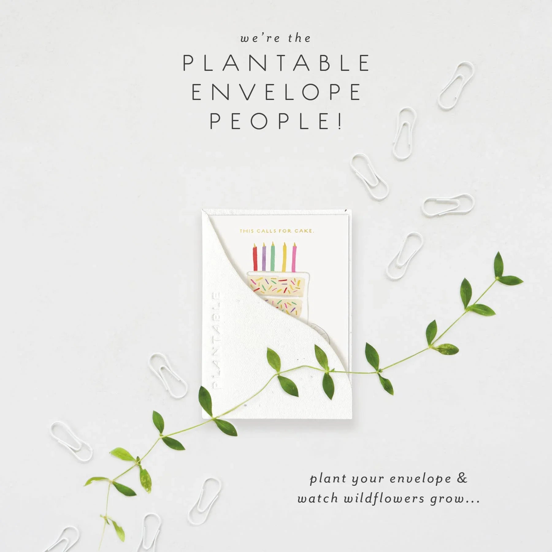 Birthday Slice Sprout - Birthday Mini Greeting Card - Marcel’s Culinary Experience