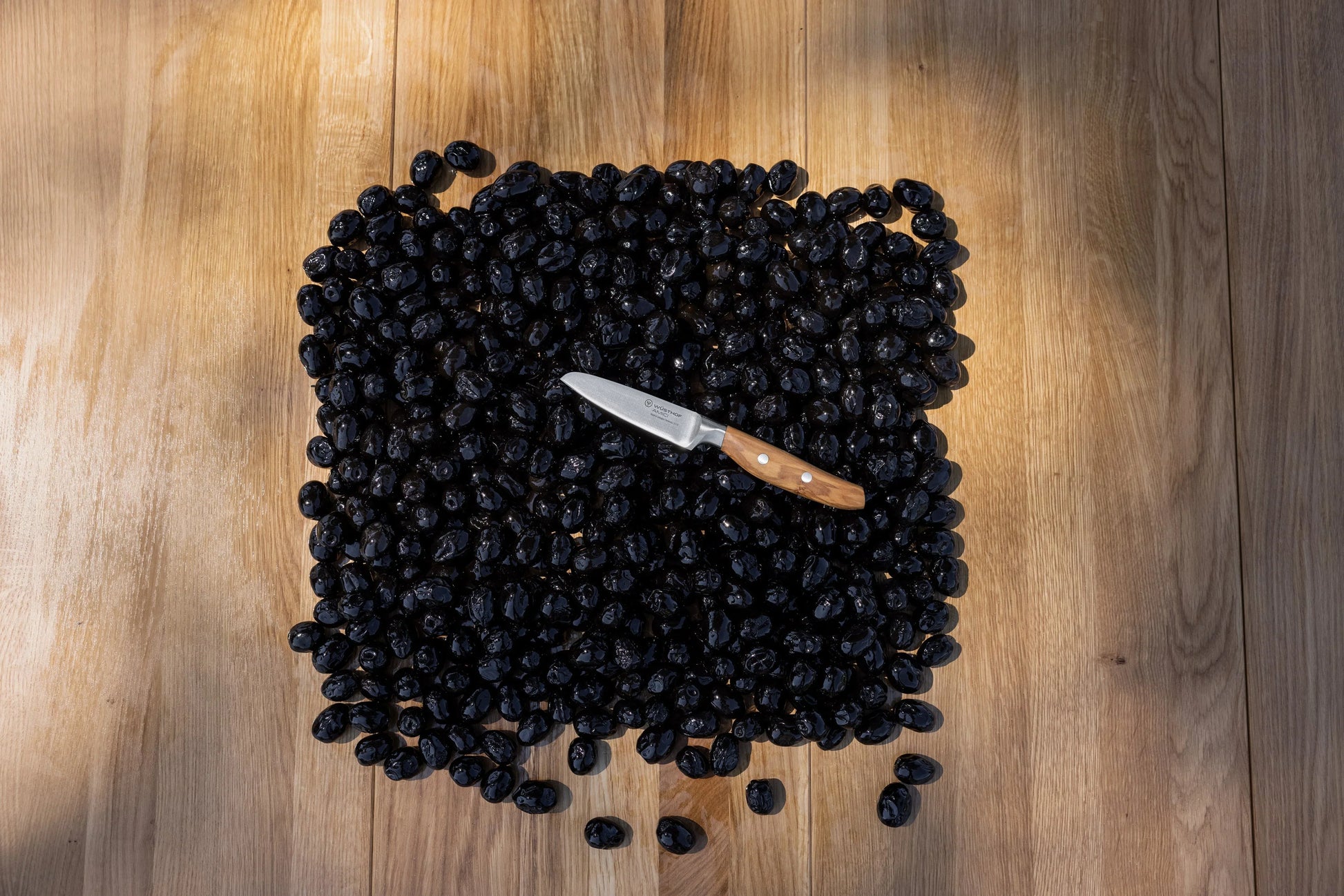 Wüsthof Amici Paring Knife 3.5" - Marcel’s Culinary Experience