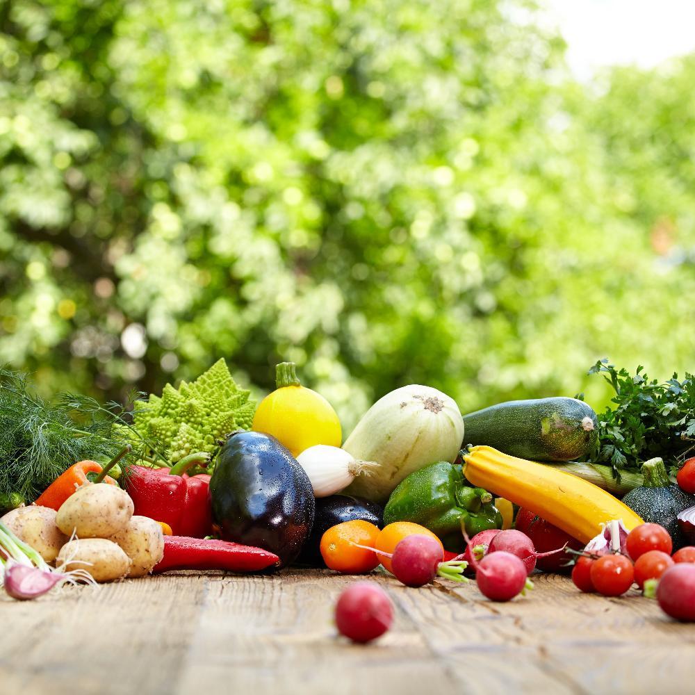 Autumn Bounty: Farm to Table (Hands On) - Marcel’s Culinary Experience