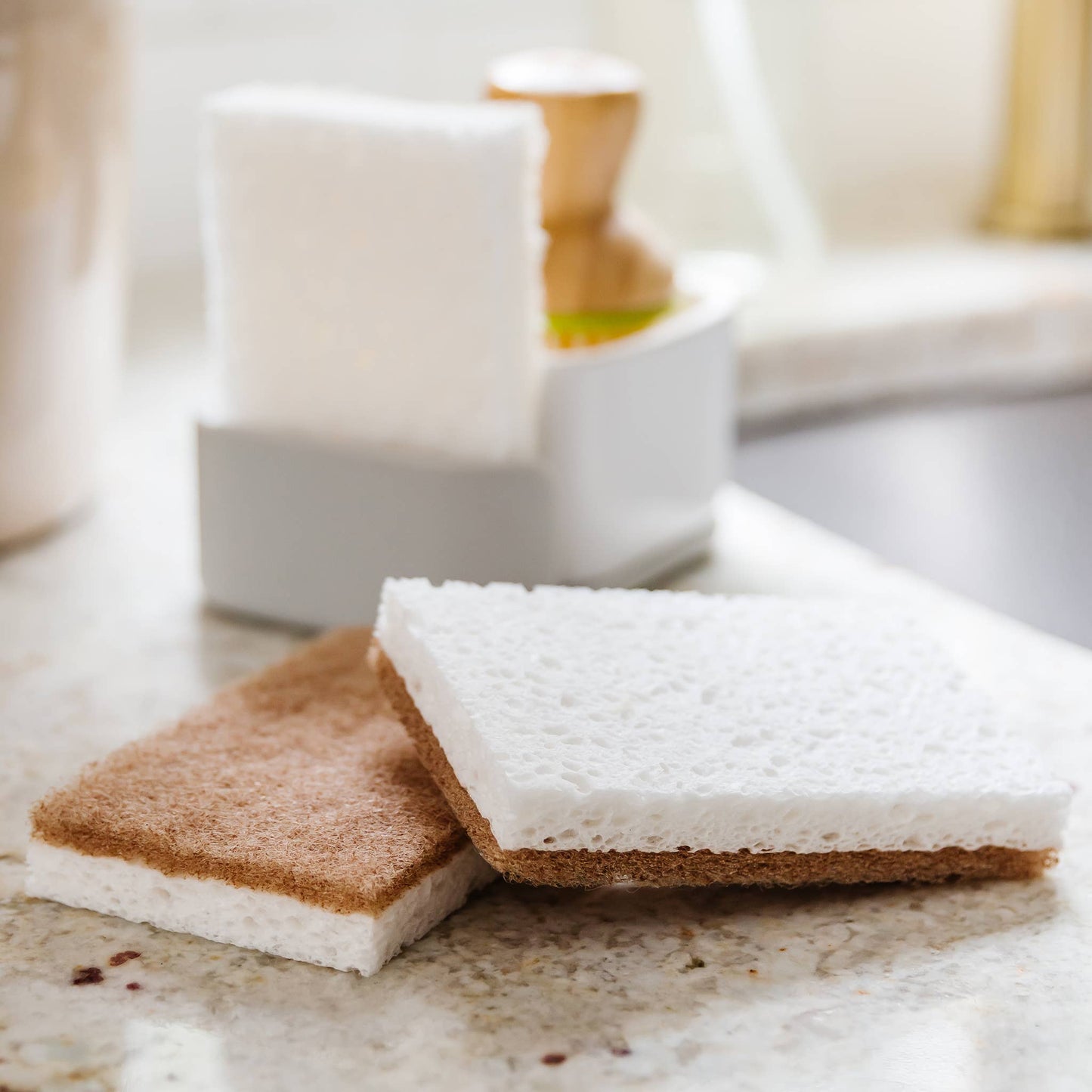 In A Nutshell Scrubber Sponge (6pk)