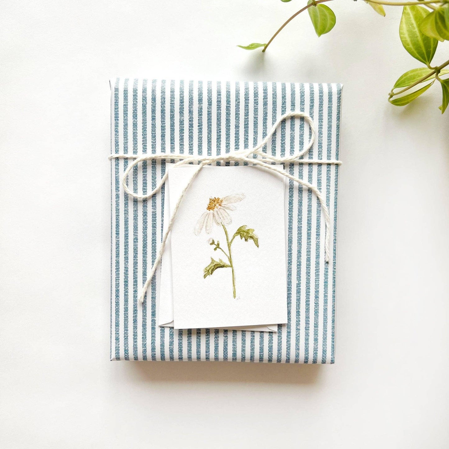 Daisy mini notecard - Marcel’s Culinary Experience