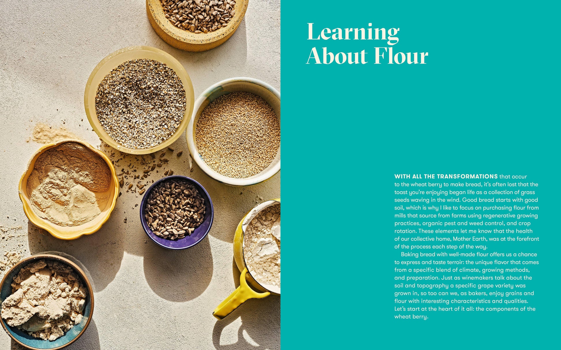 Flour Power - Marcel’s Culinary Experience