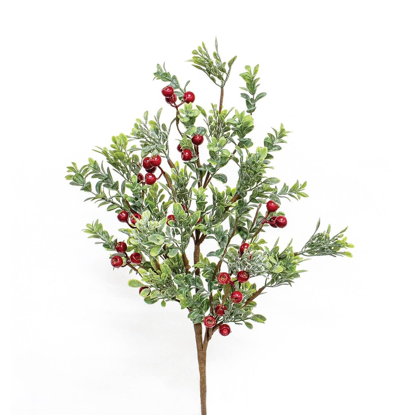 Frosted Boxwood & Gooseberry Spray, 28" - Marcel’s Culinary Experience