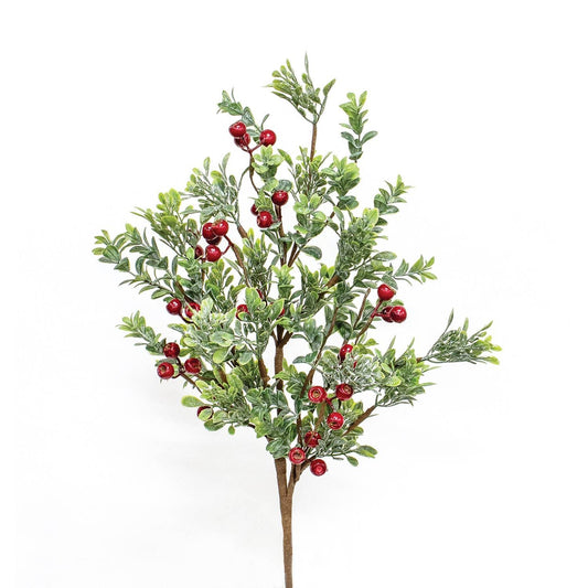 Frosted Boxwood & Gooseberry Spray, 28" - Marcel’s Culinary Experience