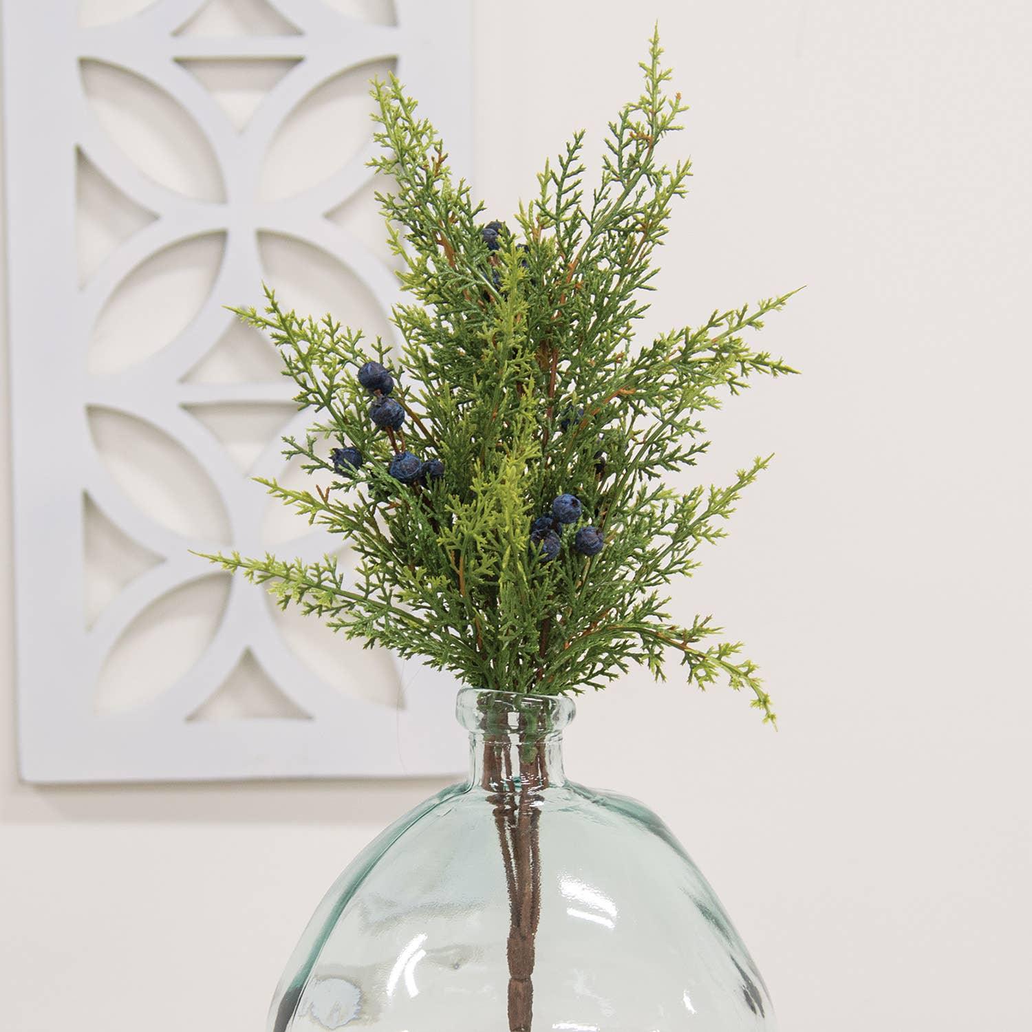 Blue Berry & Cedar Bush, 17" - Marcel’s Culinary Experience