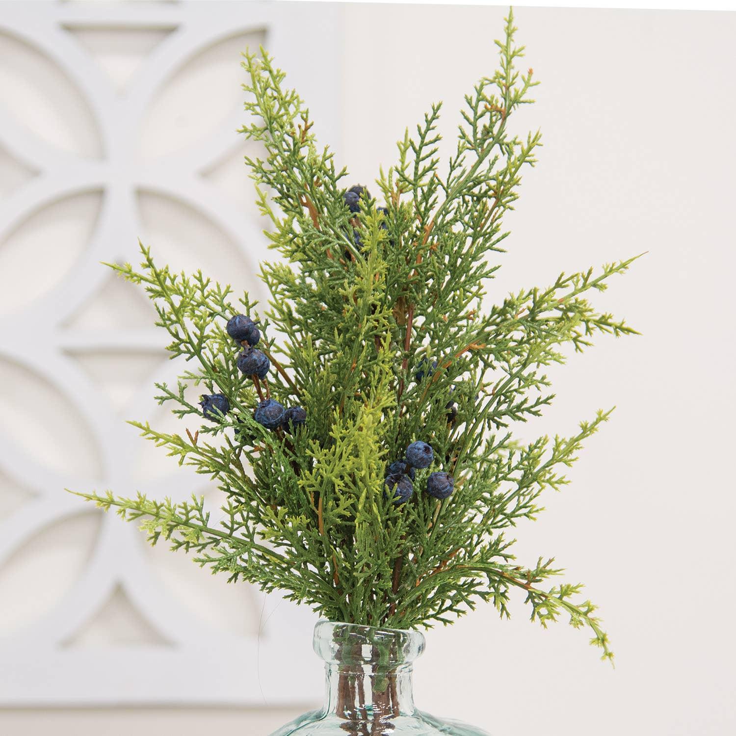 Blue Berry & Cedar Bush, 17" - Marcel’s Culinary Experience