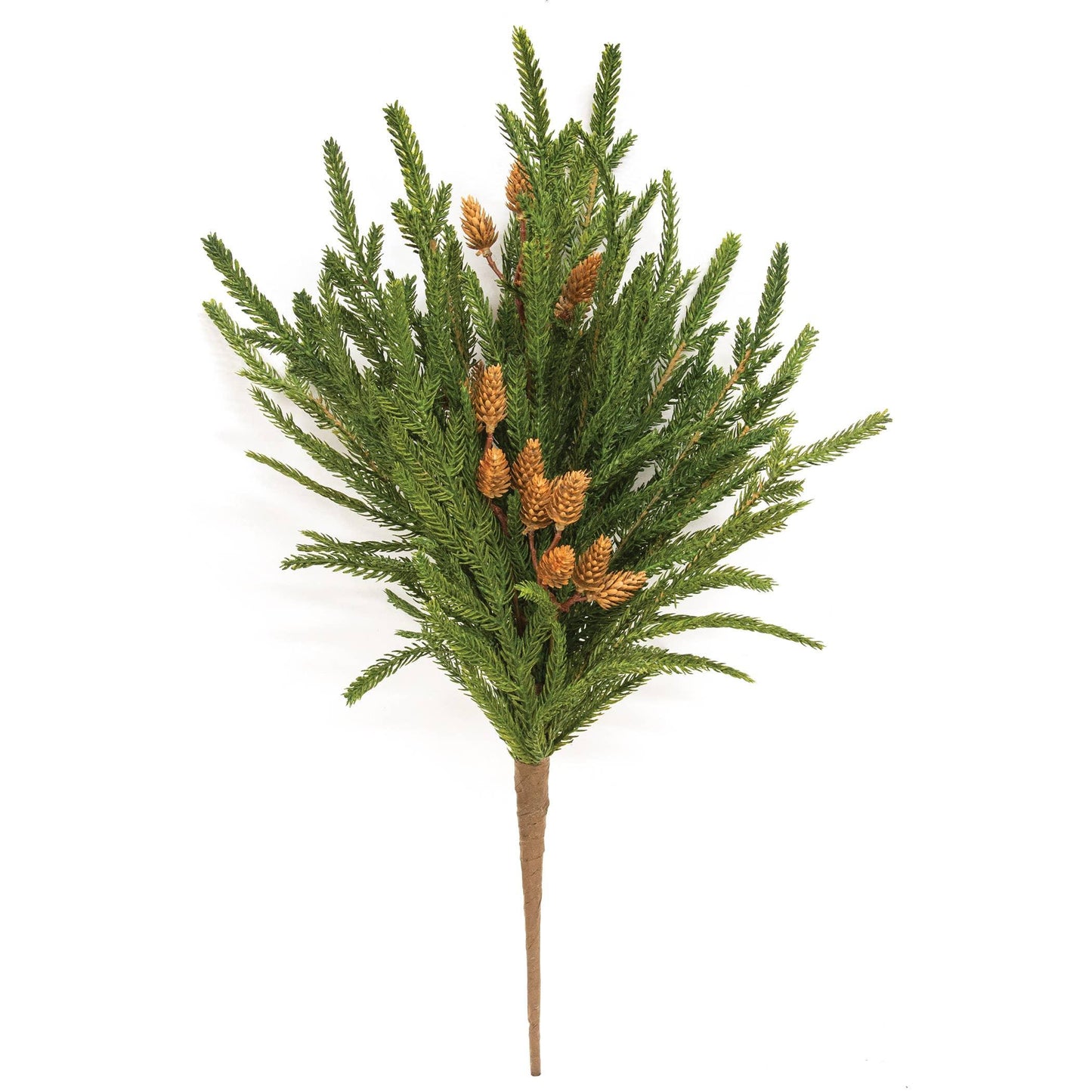 Soft Touch Austrian Pine Bush - 20" - Marcel’s Culinary Experience