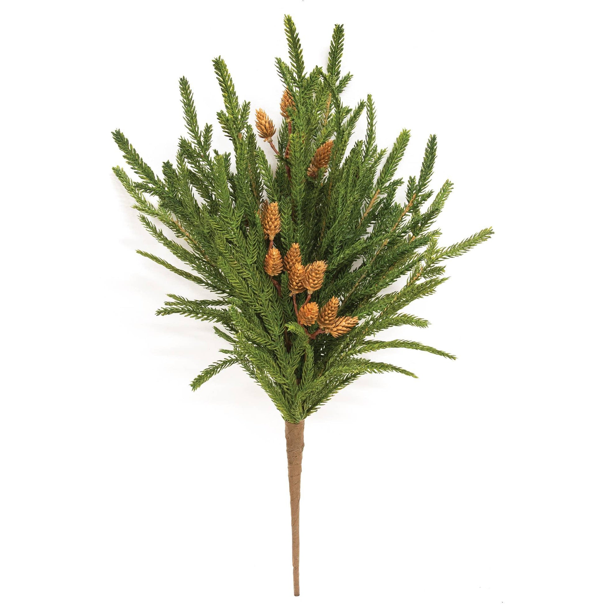 Soft Touch Austrian Pine Bush - 20" - Marcel’s Culinary Experience