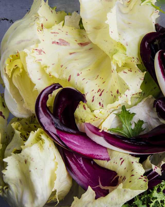 Super Tuscan by Gabriele Corcos - Marcel’s Culinary Experience