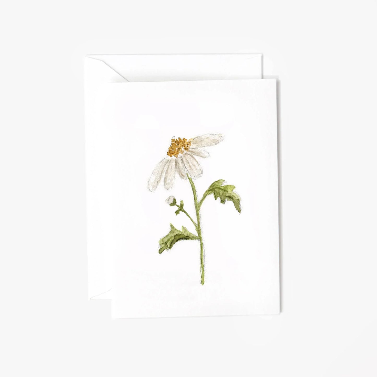 Daisy mini notecard - Marcel’s Culinary Experience