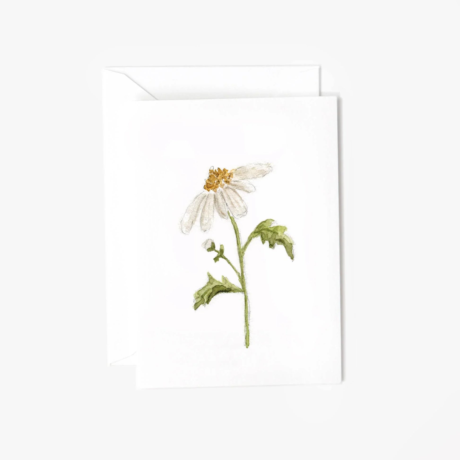 Daisy mini notecard - Marcel’s Culinary Experience
