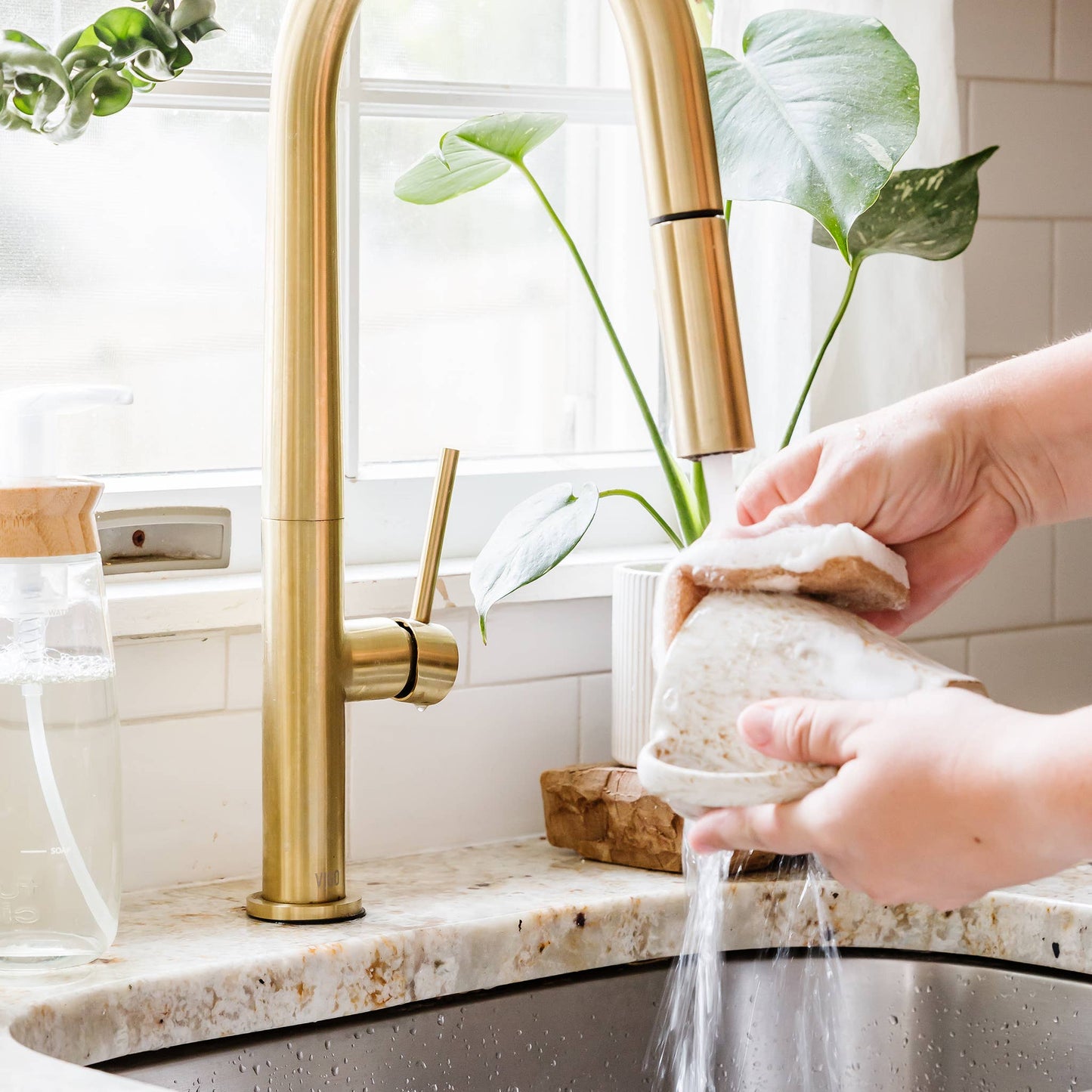 In A Nutshell Scrubber Sponge (6pk)