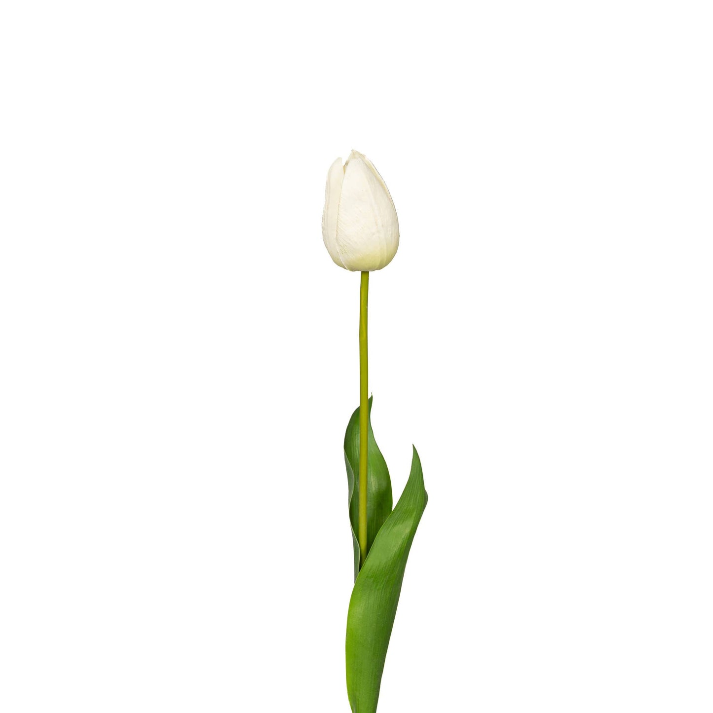 Natural Touch Tulip - 23.5 Inch - White