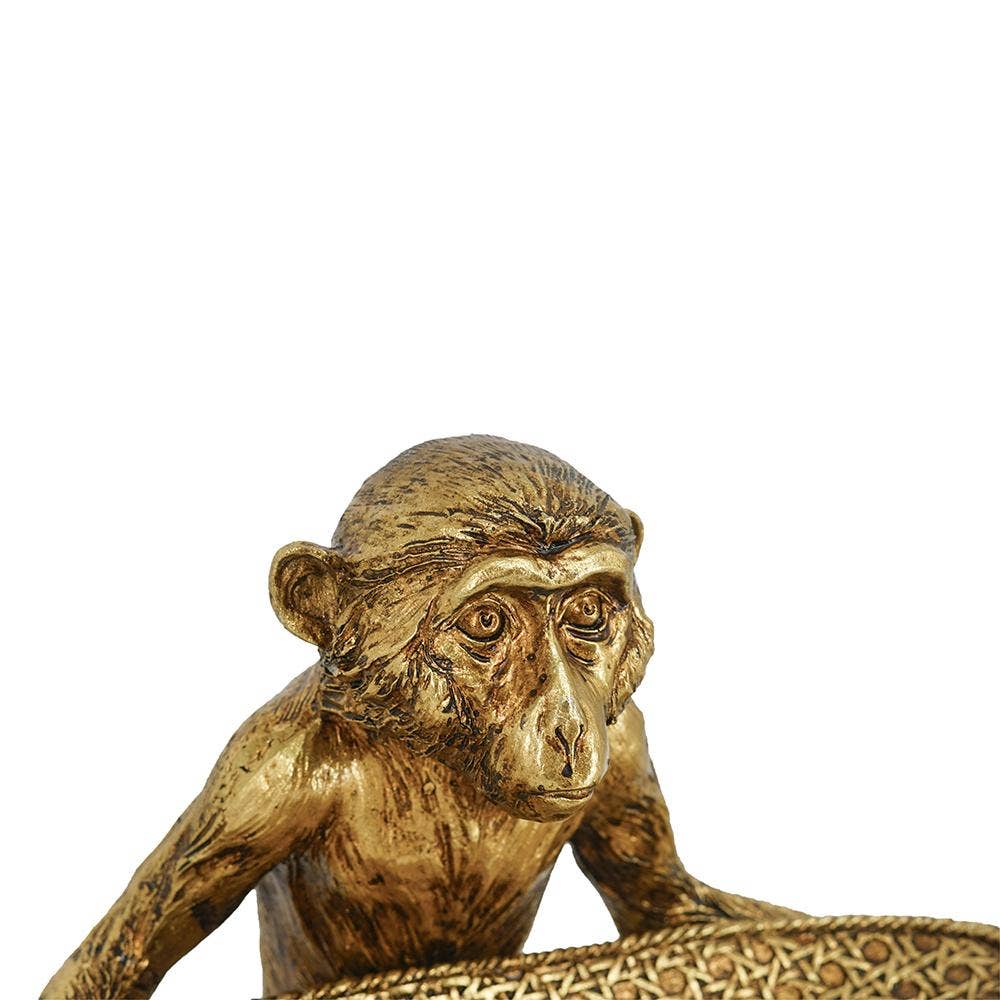 Monkey Tray