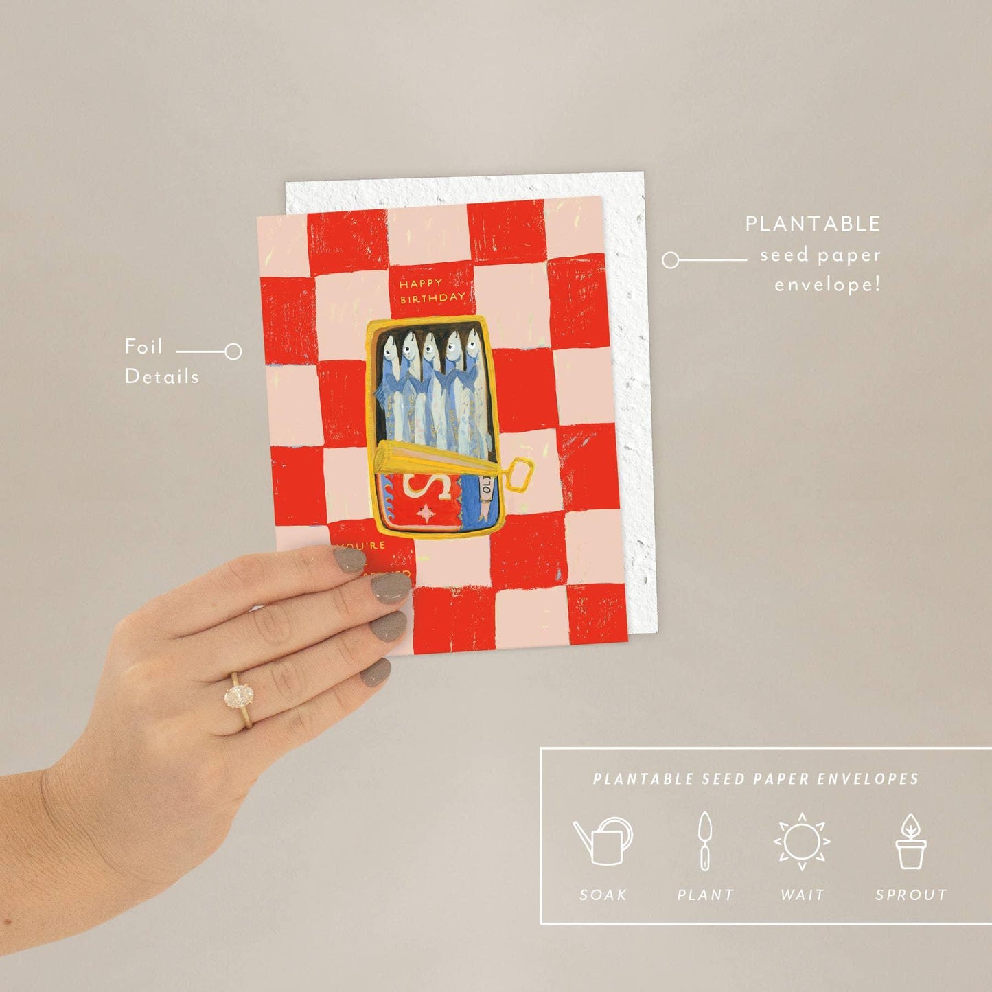 Sardines - Birthday Card - Marcel’s Culinary Experience