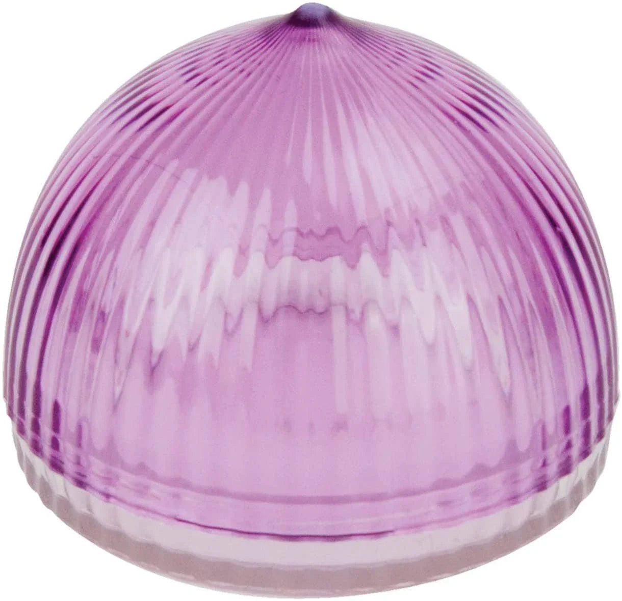 TULZ Onion Save-A-Half, 4" x 4" x 3.5" - Marcel’s Culinary Experience
