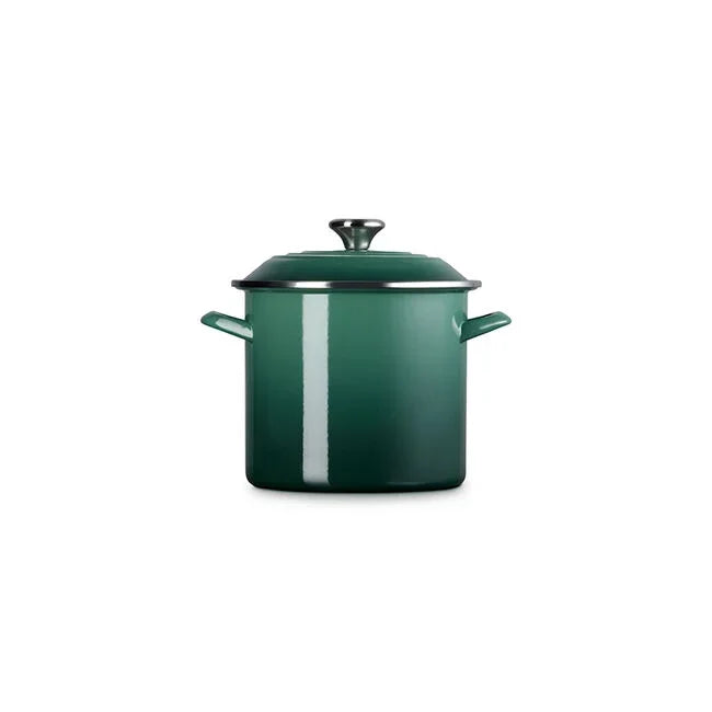 Green enamel stockpot with lid and side handles on white background