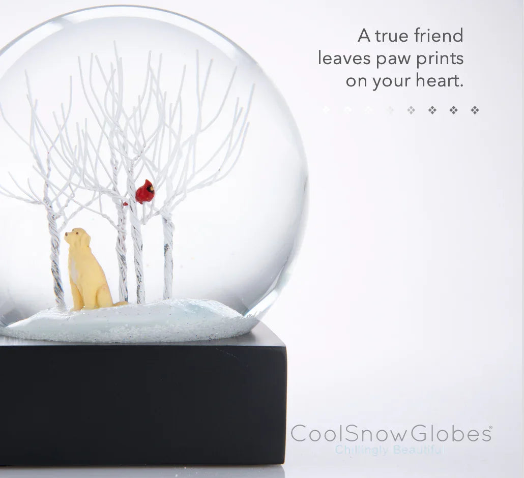 Lab in the Woods Snow Globe - Marcel’s Culinary Experience