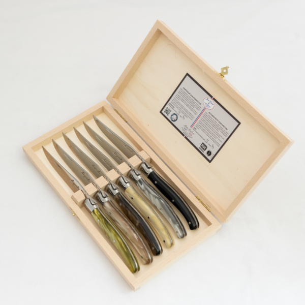 Jean Dubost 6 Steak Knives in Mineral Colors in Clasp Box