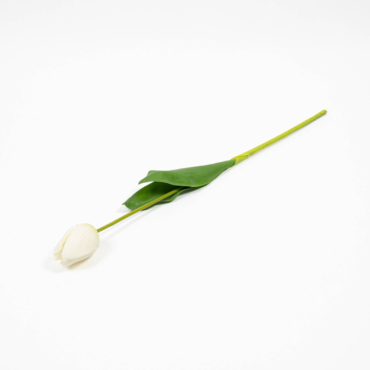 Natural Touch Tulip - 23.5 Inch - White